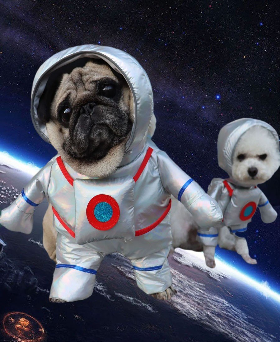 Astronaut Kostume til Hunde og Katte Halloween Kæledyrstøj Kattetøj