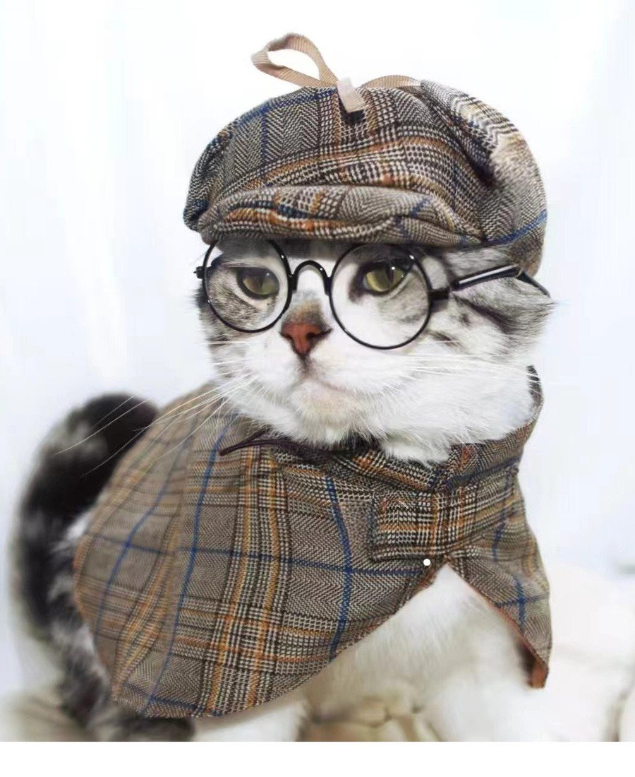 Sherlock Holmes Detektiv Hundekostume Karneval Cosplay Kattetøj