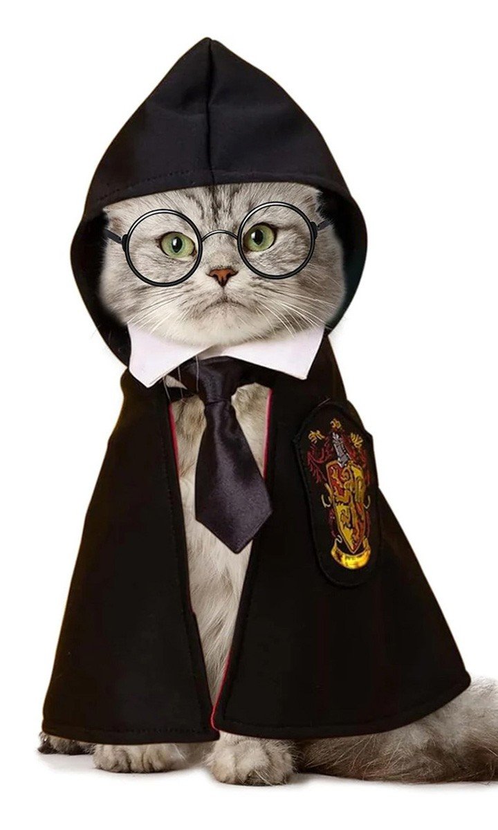 Harry Potter Hunde Kappe Hundetøj Halloween Magisk Kappe til Hunde og Katte