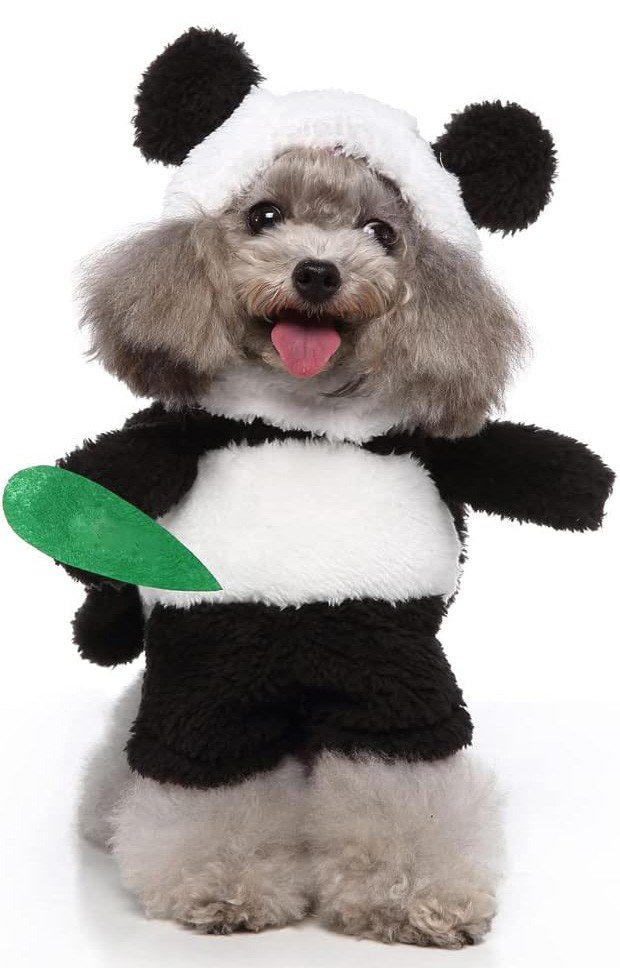 Panda Hundekostume Dyrekostume Kattetøj Halloween Kostume til Hunde og Katte