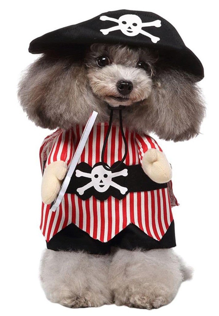 Piratkostume til Kat/Hund Hundetøj Kattetøj Halloween Karneval Kostume