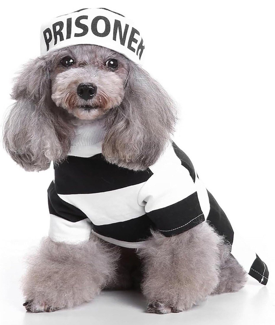 Fange Hundekostume Kæledyrstøj Kattetøj Halloween Cosplay Kostume til Hund/Kat