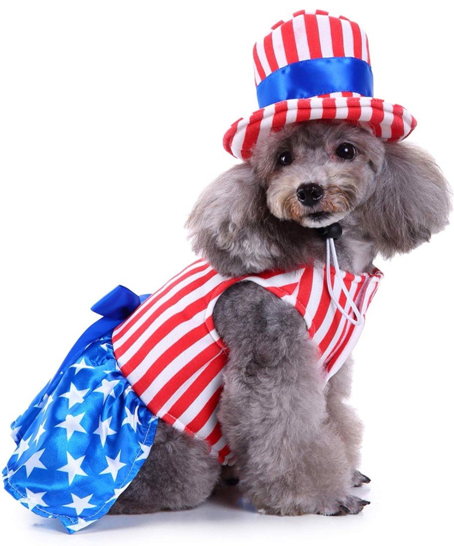 USA Flag Hundekostume til Piger Kæledyrstøj Kattekostume Med Hue