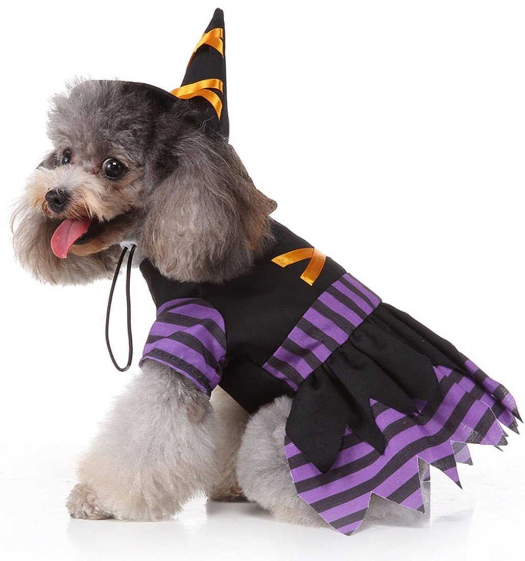 Heks Hundekostume Kæledyrstøj Kattetøj Lilla Halloween Kostume til Hund/Kat