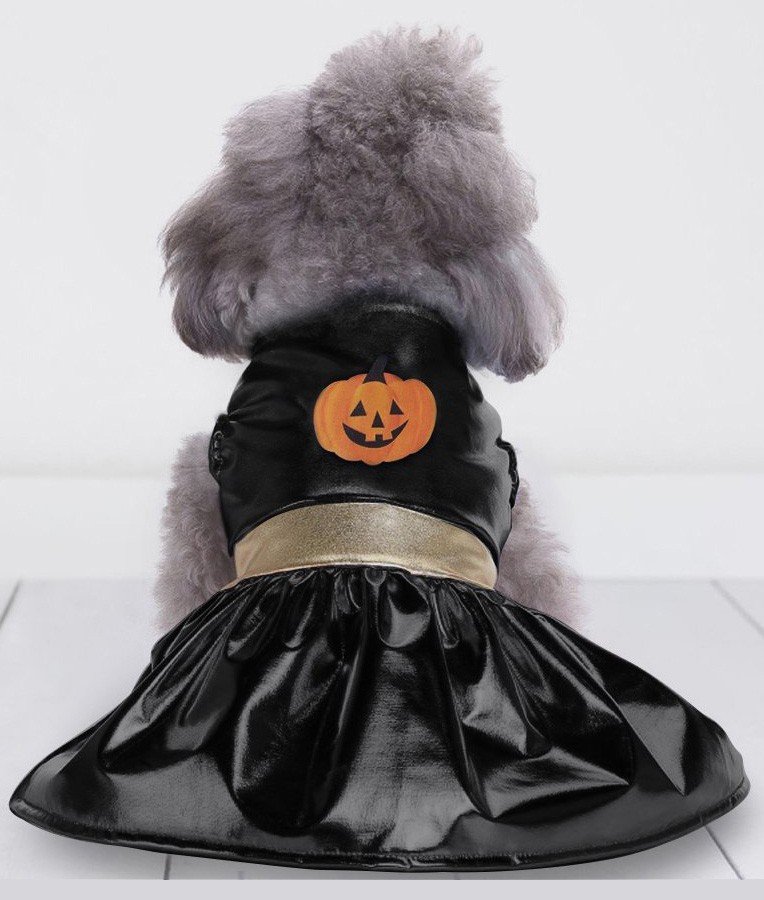 Halloween Heks Hundekostume Kæledyrstøj Græskar Kattetøj