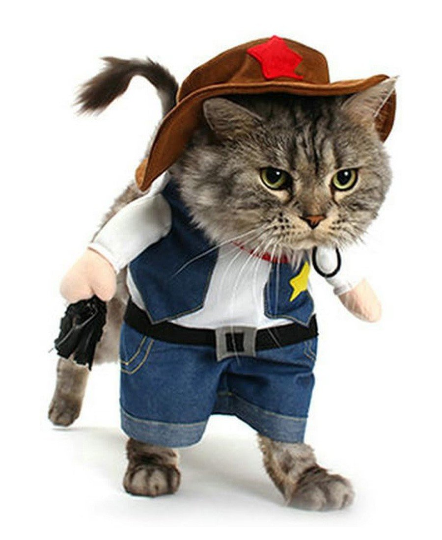 Cowboy Hundekostume Kattetøj Halloween Fest Kostume til Hunde og Katte