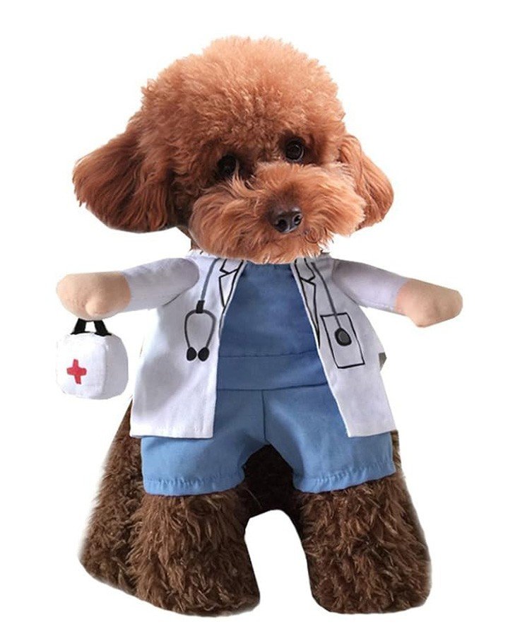 Læge Hundekostume Kattetøj Halloween Kæledyrstøj Sød Læge Uniform til Hunde og Katte