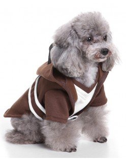 Samurai Robes Star Wars Hundekostume Kæledyrstøj Kattetøj 